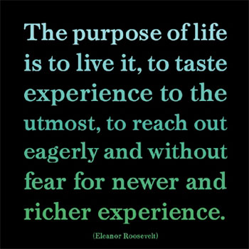 purpose quote - Eleanor Roosevelt