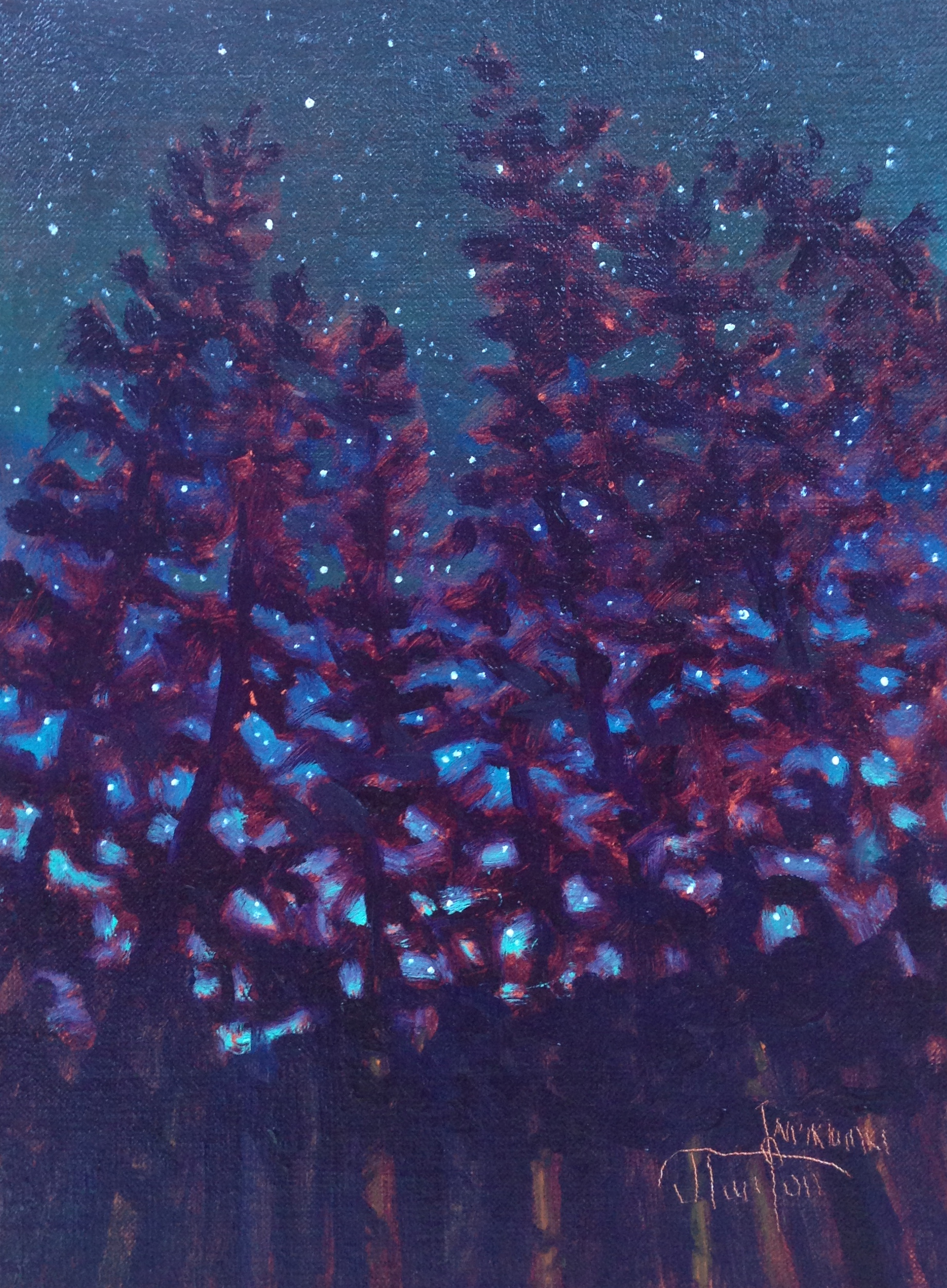 "Waiparous Starry Night" ©2013 Janice Tanton. Oil on linen panel. 6"x8"