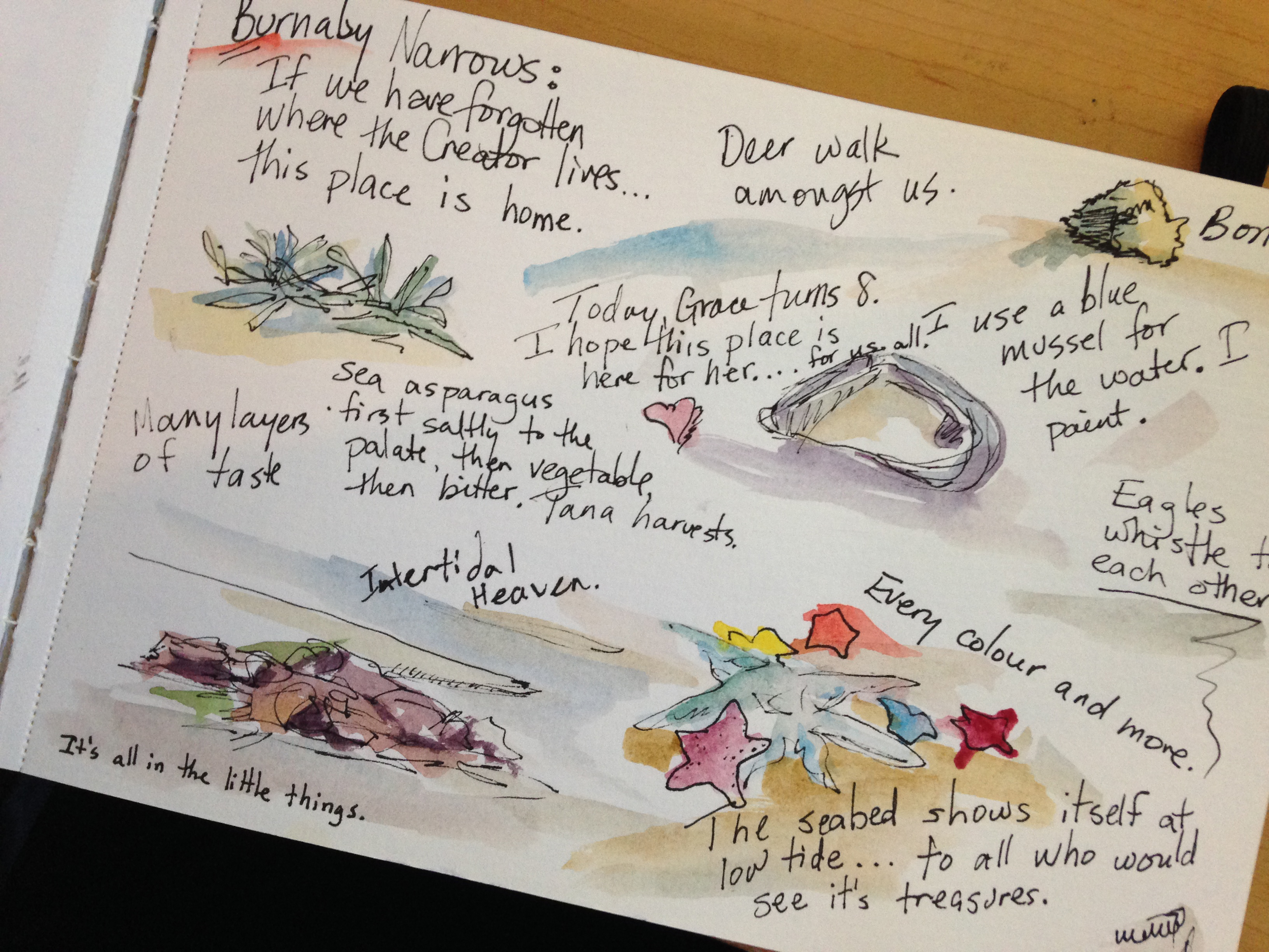 Janice Tanton sketch journal - Haida Gwaii, Burnaby Narrows