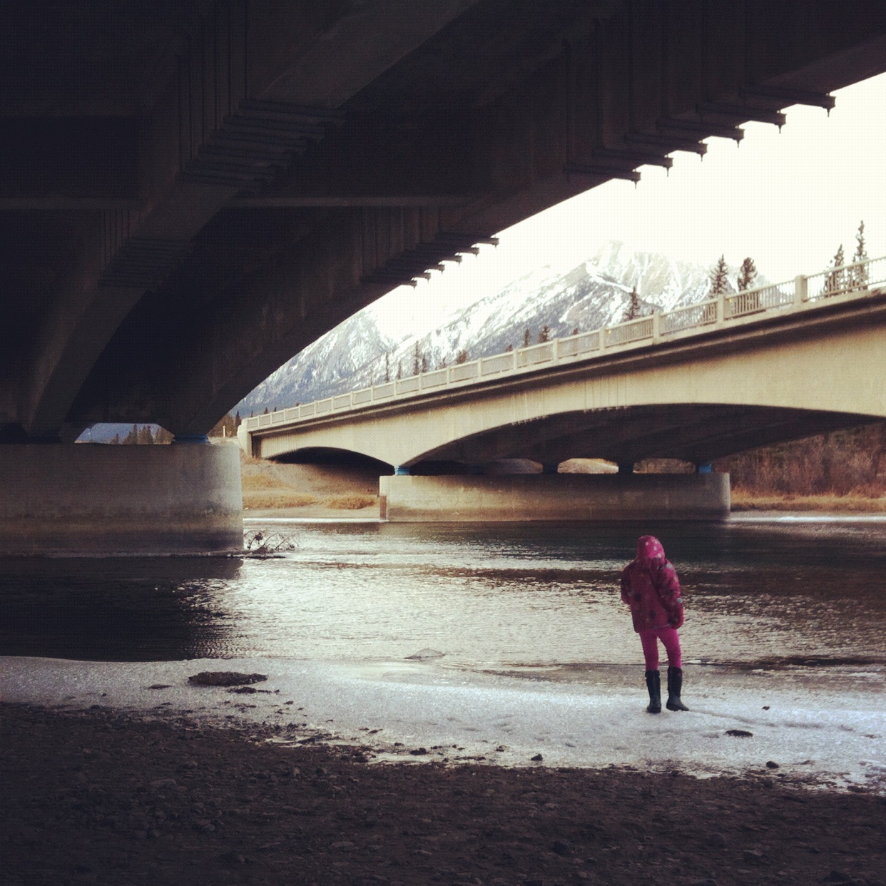 A River Runs Through It - The Bow River with Grace