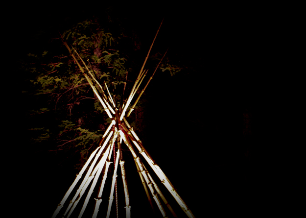 Outdoor Installation: No ReZervations Required - ©2012 Janice Tanton. Lodgepole pine, light, rope.